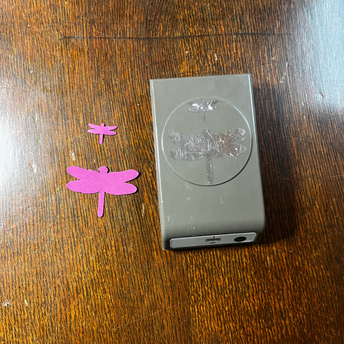 Dragonfly Garden Stamp Set and Punch
