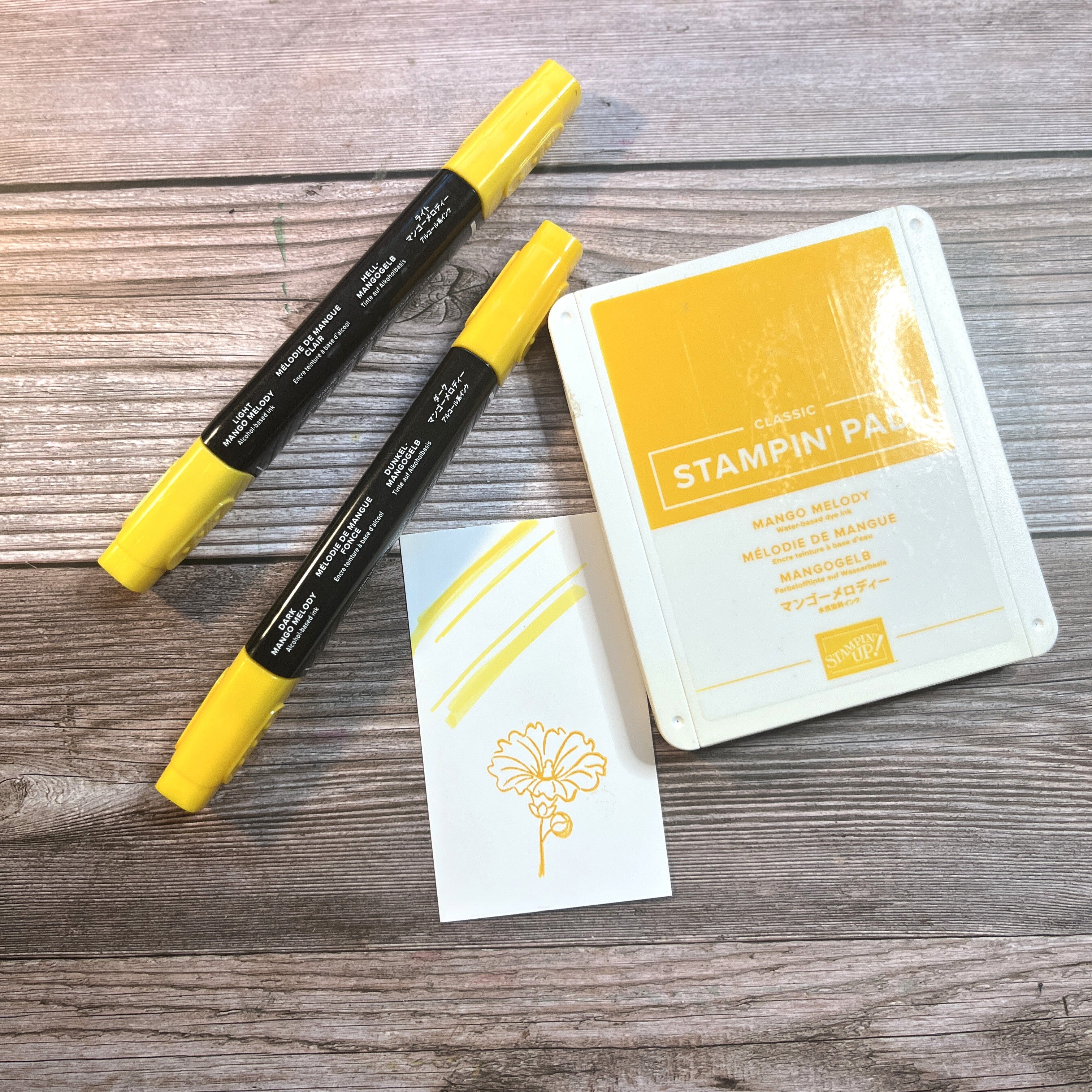 Mango Melody Stamp Pad and Stampin Blends