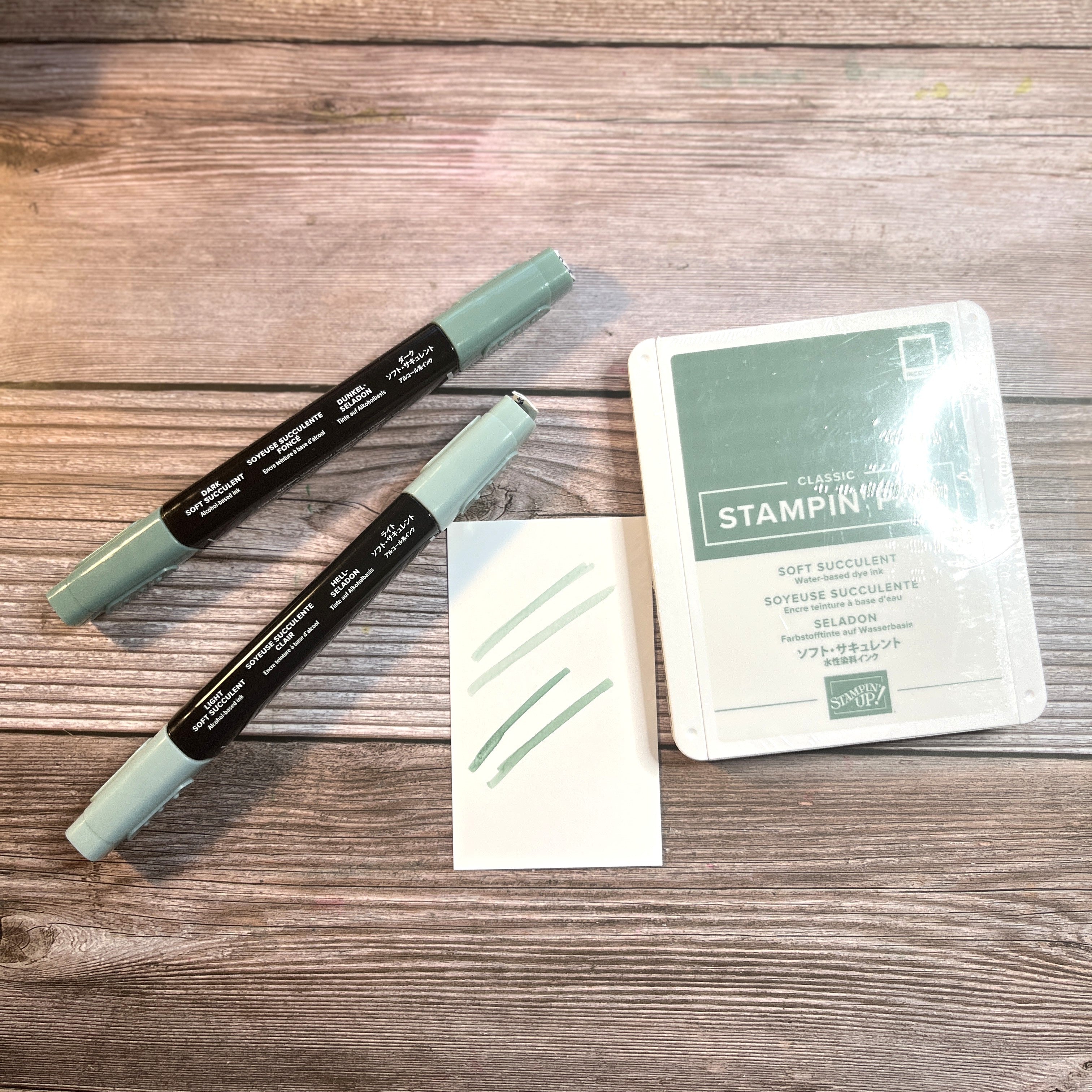 Soft Succulent Stamp Pad and Stampin Blends