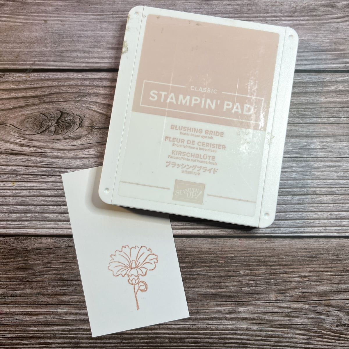 Blushing Bride Stampin Pad