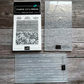 Stripes and Splatters Embossing Folder