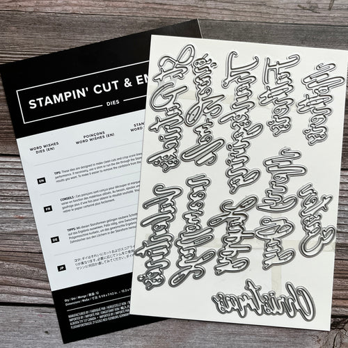 A Wish For Everything Stamp Set and Dies