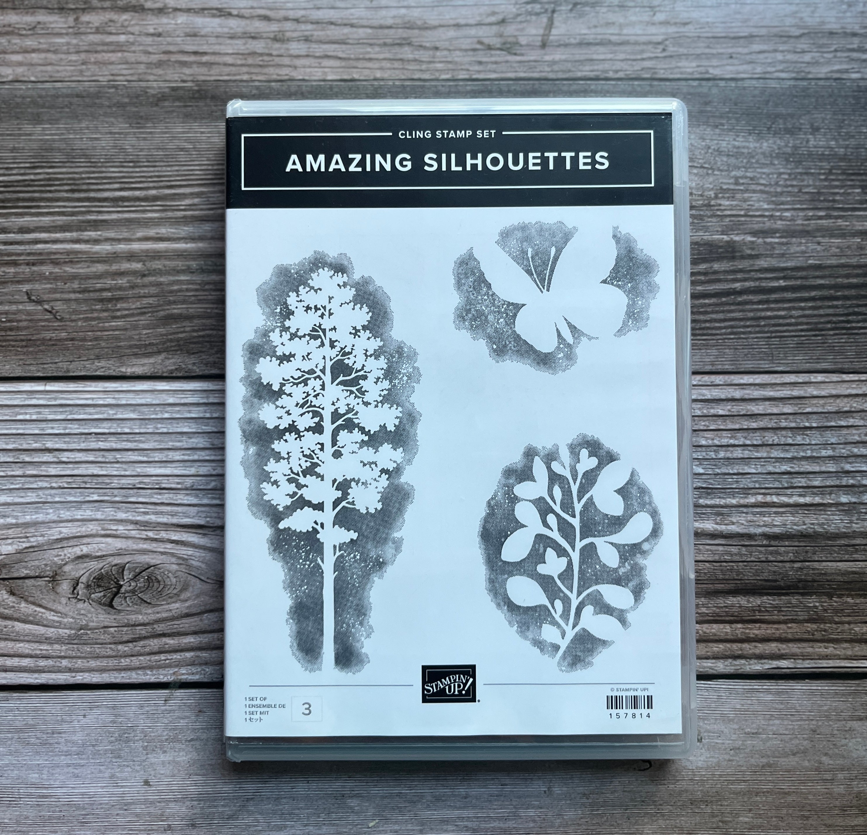 Amazing Silhouettes Stamp Set