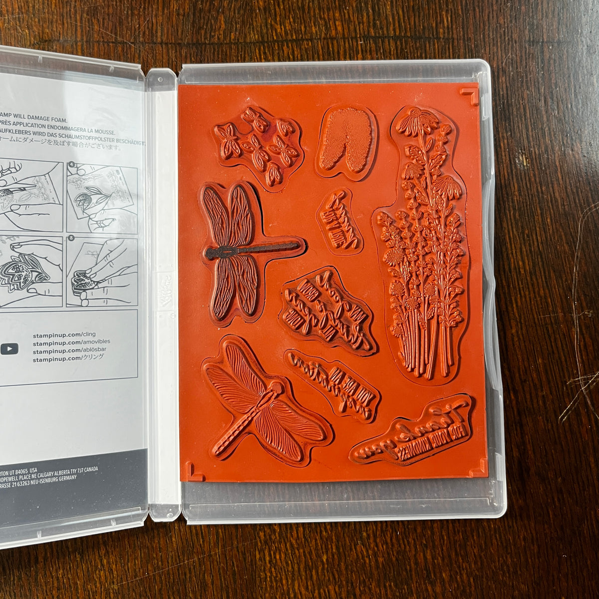 Dragonfly Garden Stamp Set and Punch