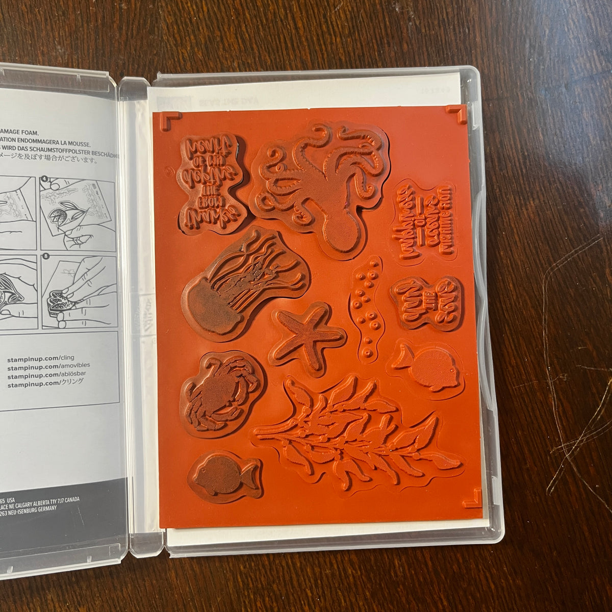 Seas the Day Stamp Set and Dies